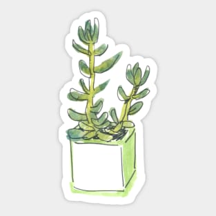 WC&S - Jade Sticker